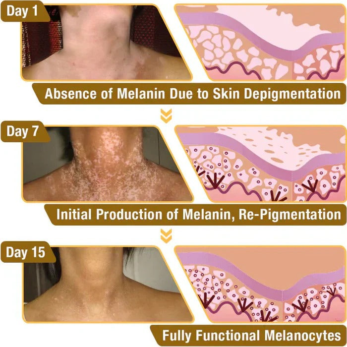 VitiGO™ Revitalizing Bee Venom Cream | Natural Skin Restoration & Vitality