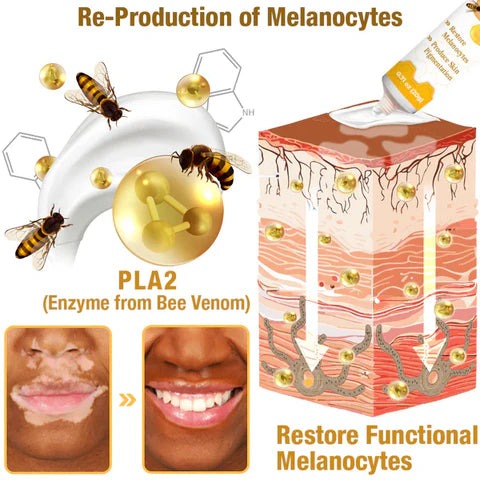 VitiGO™ Revitalizing Bee Venom Cream | Natural Skin Restoration & Vitality