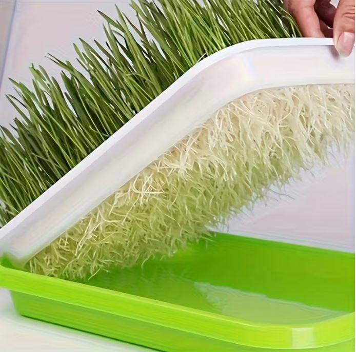 Portable Microgreen Tray